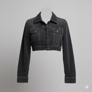 Express Vintage Y2K cropped black denim jacket size XS